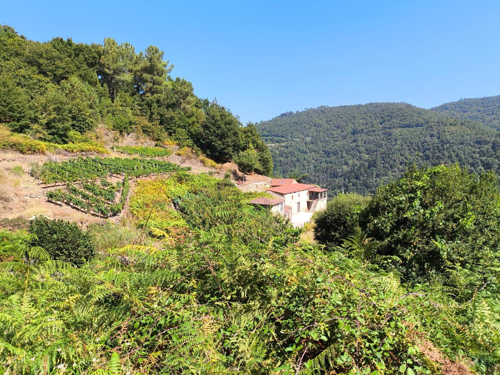Xiravai-Ribeira Sacra Villa Peares Buitenkant foto