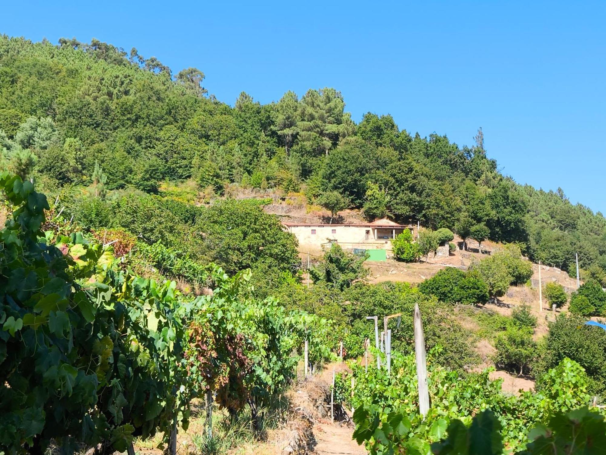 Xiravai-Ribeira Sacra Villa Peares Buitenkant foto